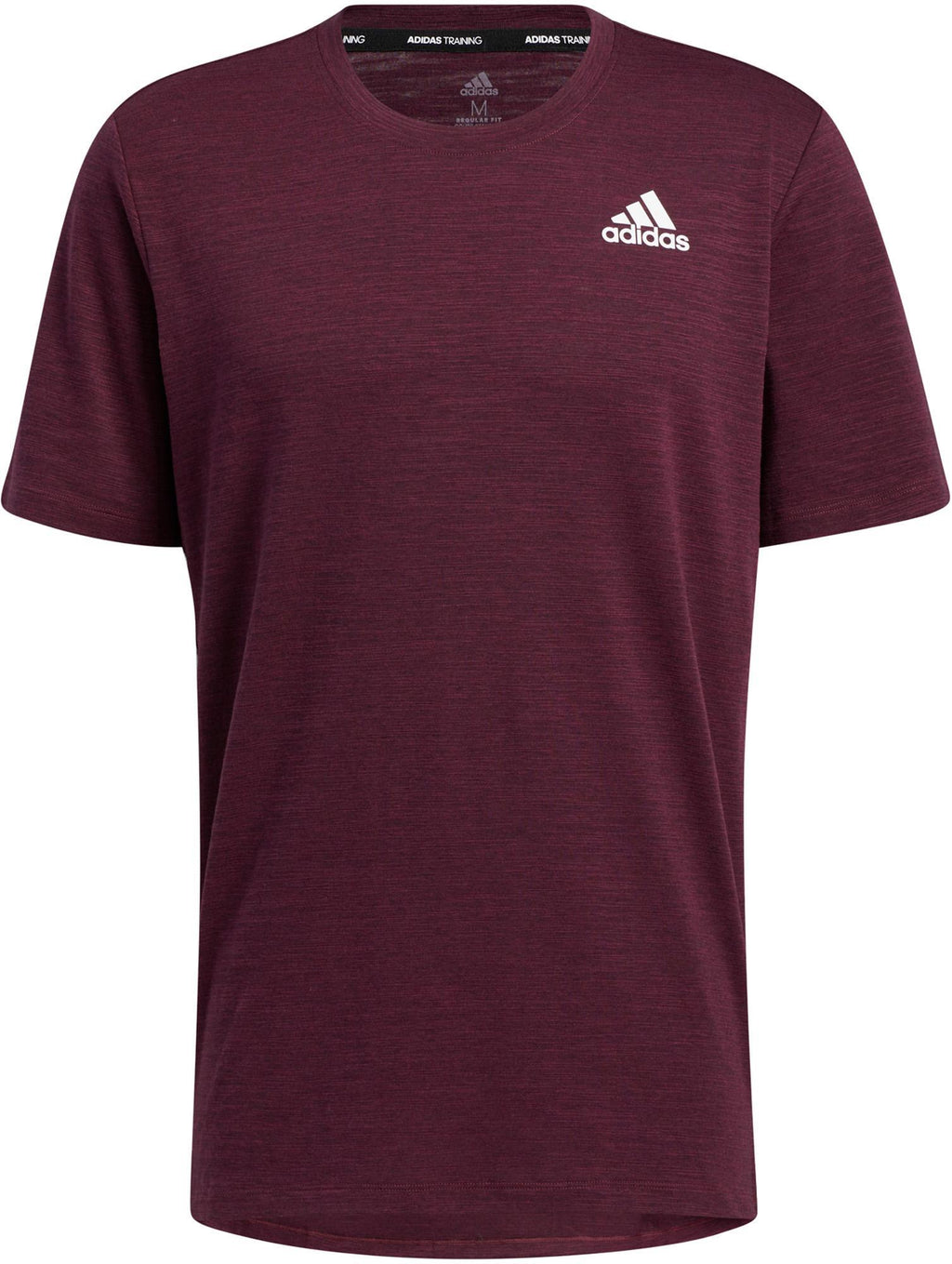 City Elevated T
