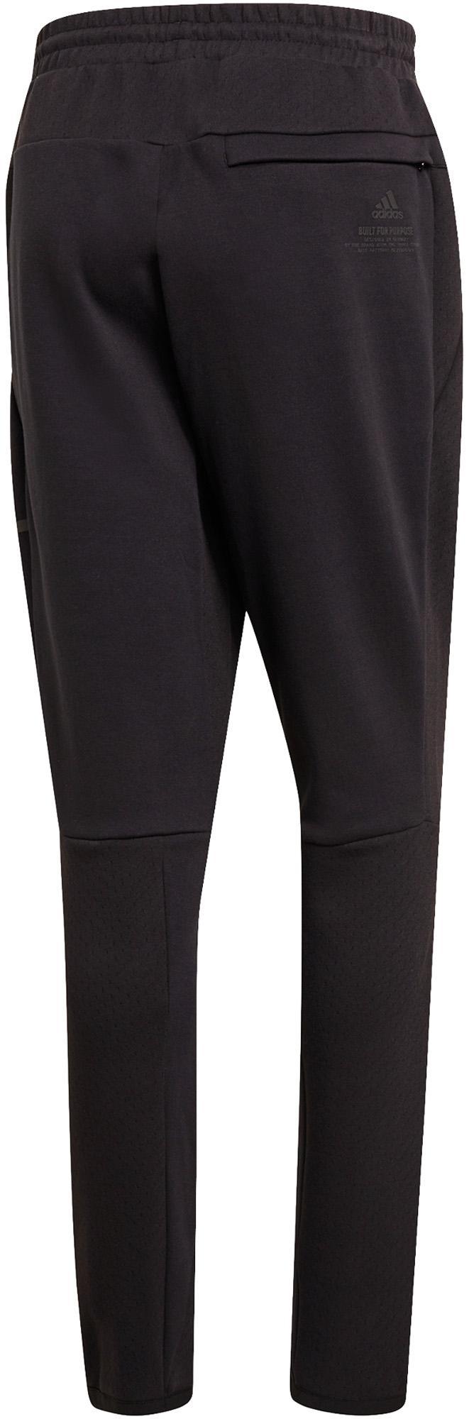Zne Pant