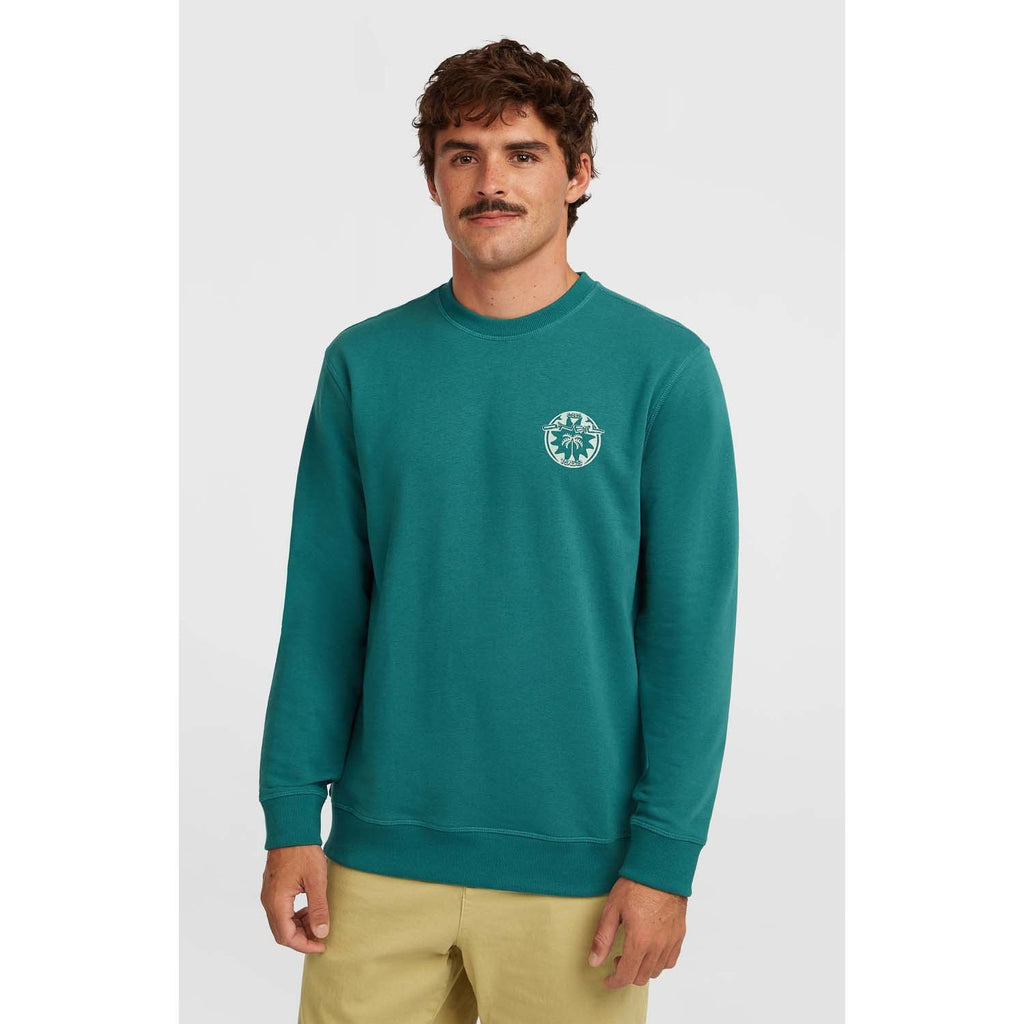 Musthave Graphic Crew