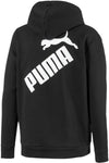 big logo fz hoody fl