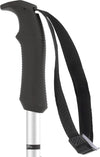 amt silver skistokken