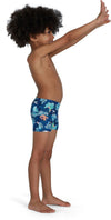 Tommy Turtle Placem Aqsh Blu/yel