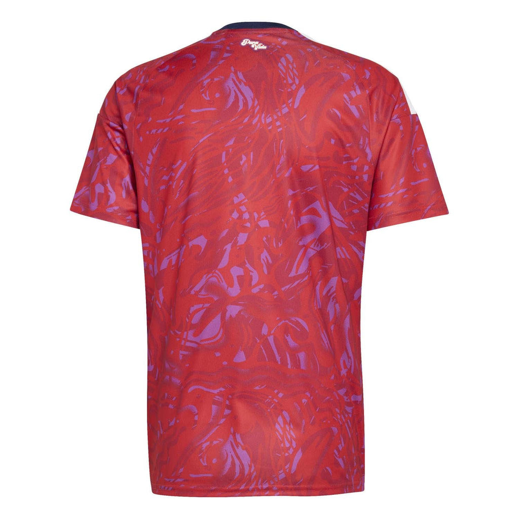 Costa Rica 26 Thuisshirt