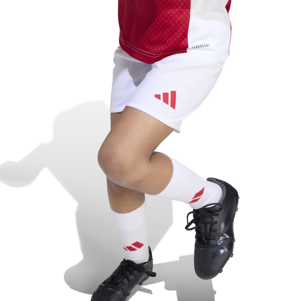 Ajax Amsterdam 25/26 Mini-Thuistenue Kids
