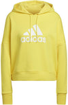 Future Icons Badge of Sport hoodie