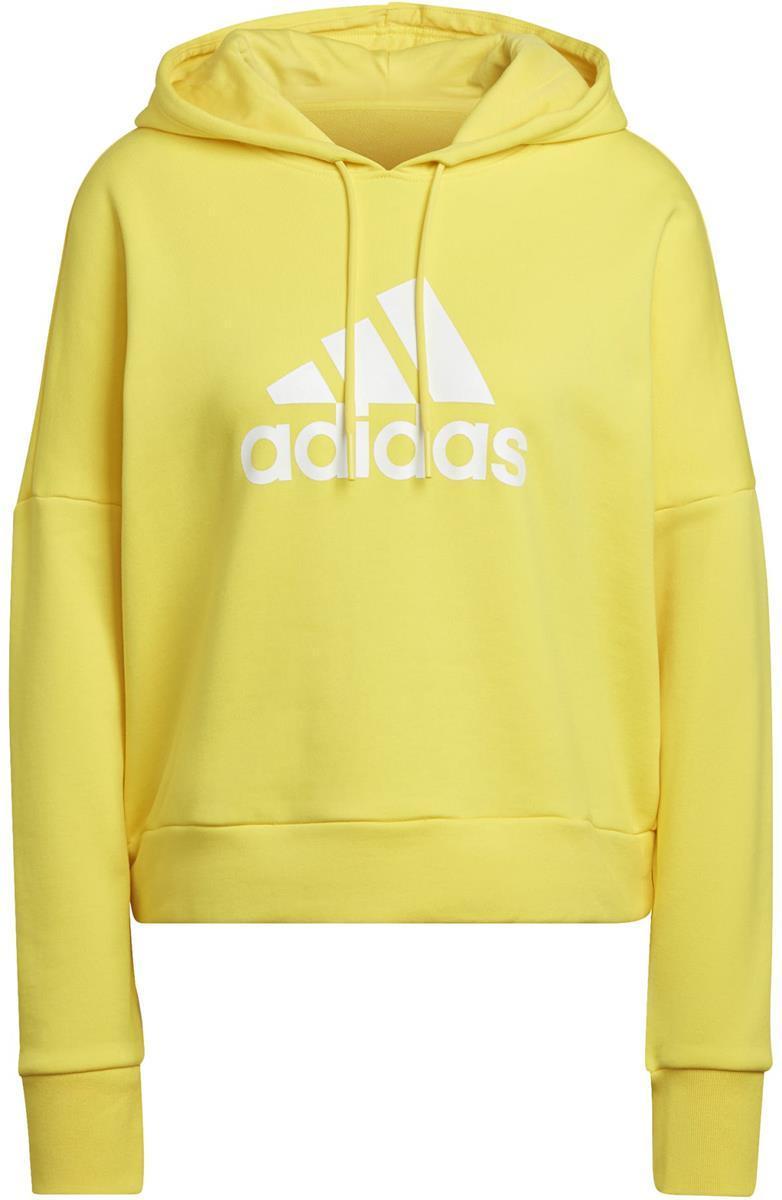 Future Icons Badge of Sport hoodie