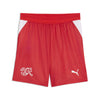 Sfv Shorts Replica voetbal kids