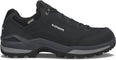 Renegade GTX Lo wandelschoenen