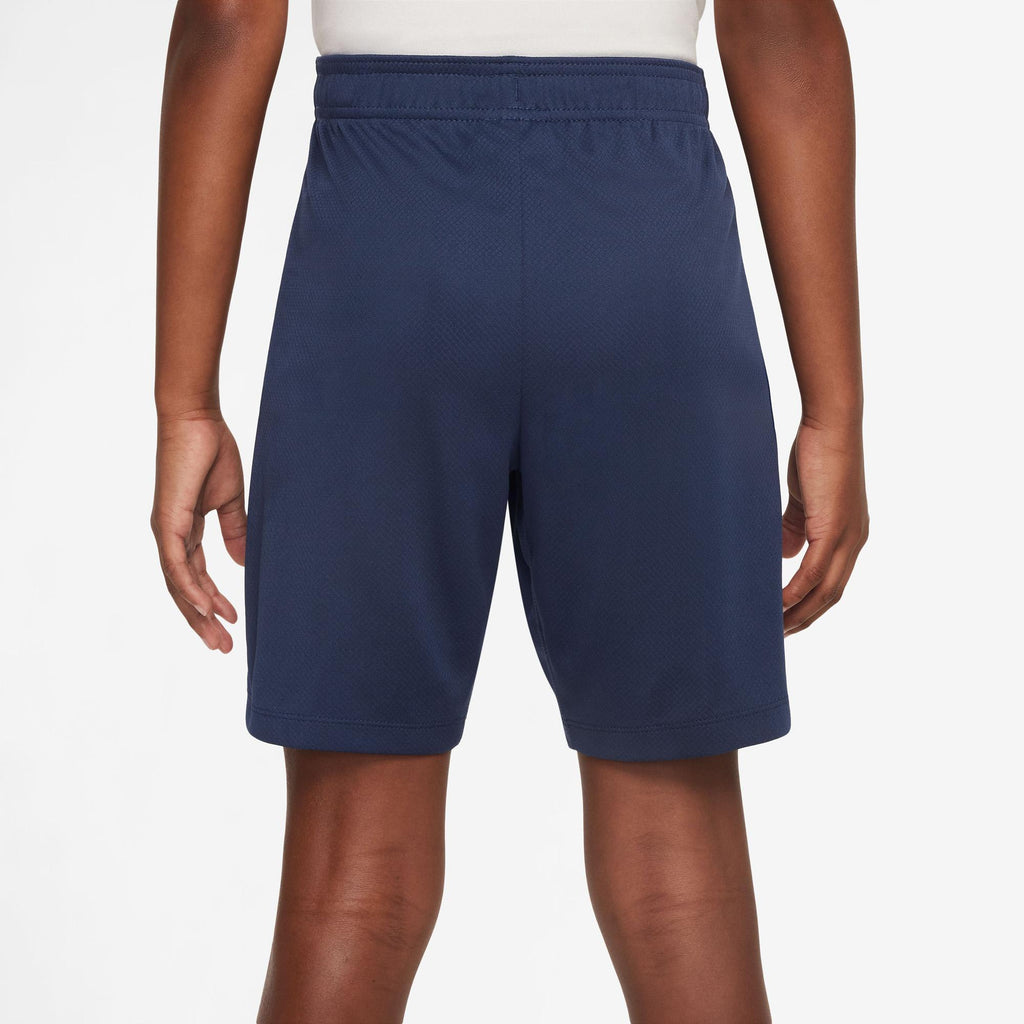Paris Saint Germain Strike Dri-FIT Knit short