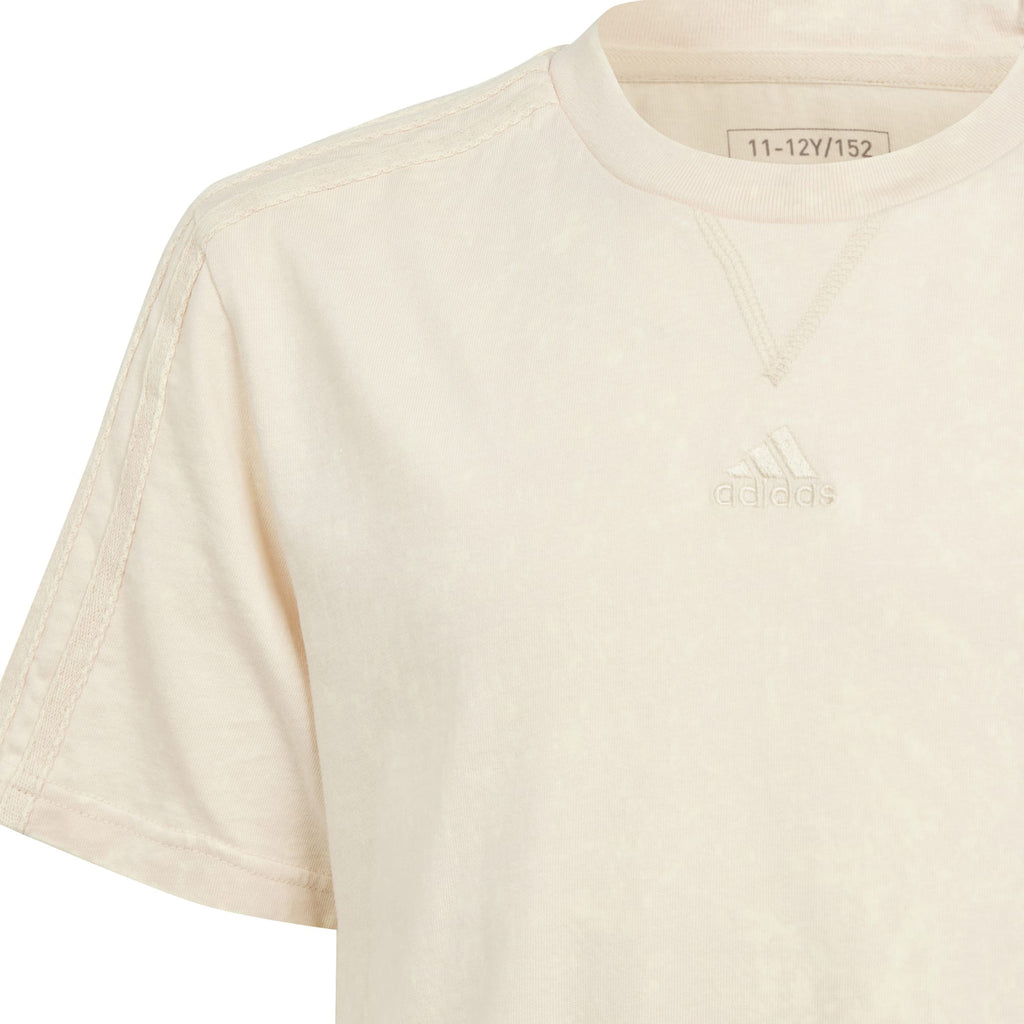 ALL SZN Washed t-shirt