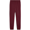 pumatech pants dk cl