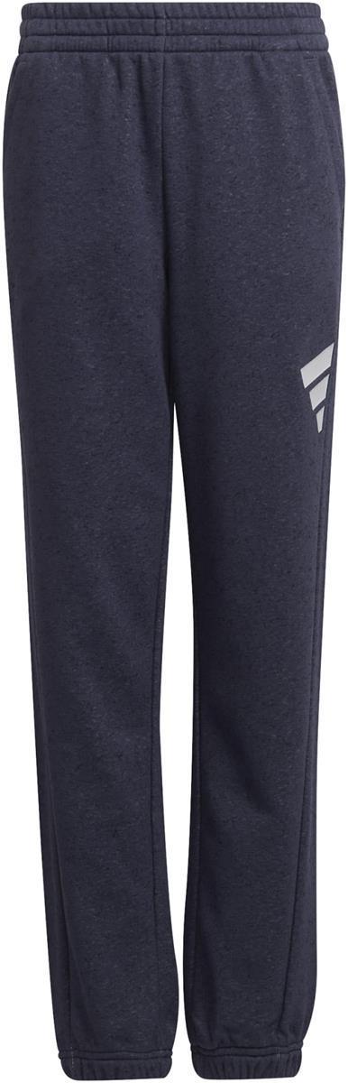 Future Icons 3-Stripes broek