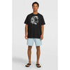 Originals Cali Ocean 16 Zwemshort
