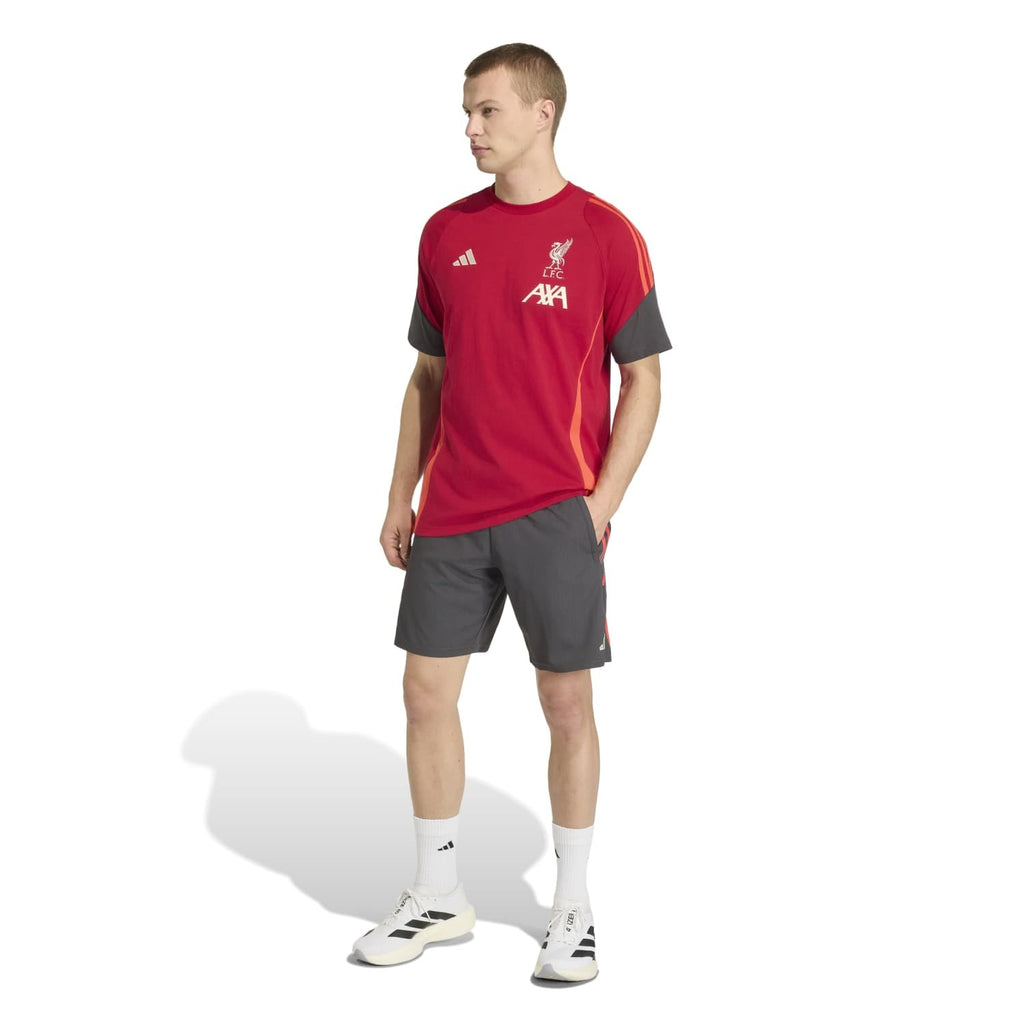 Liverpool FC Dt Training Shorts replica
