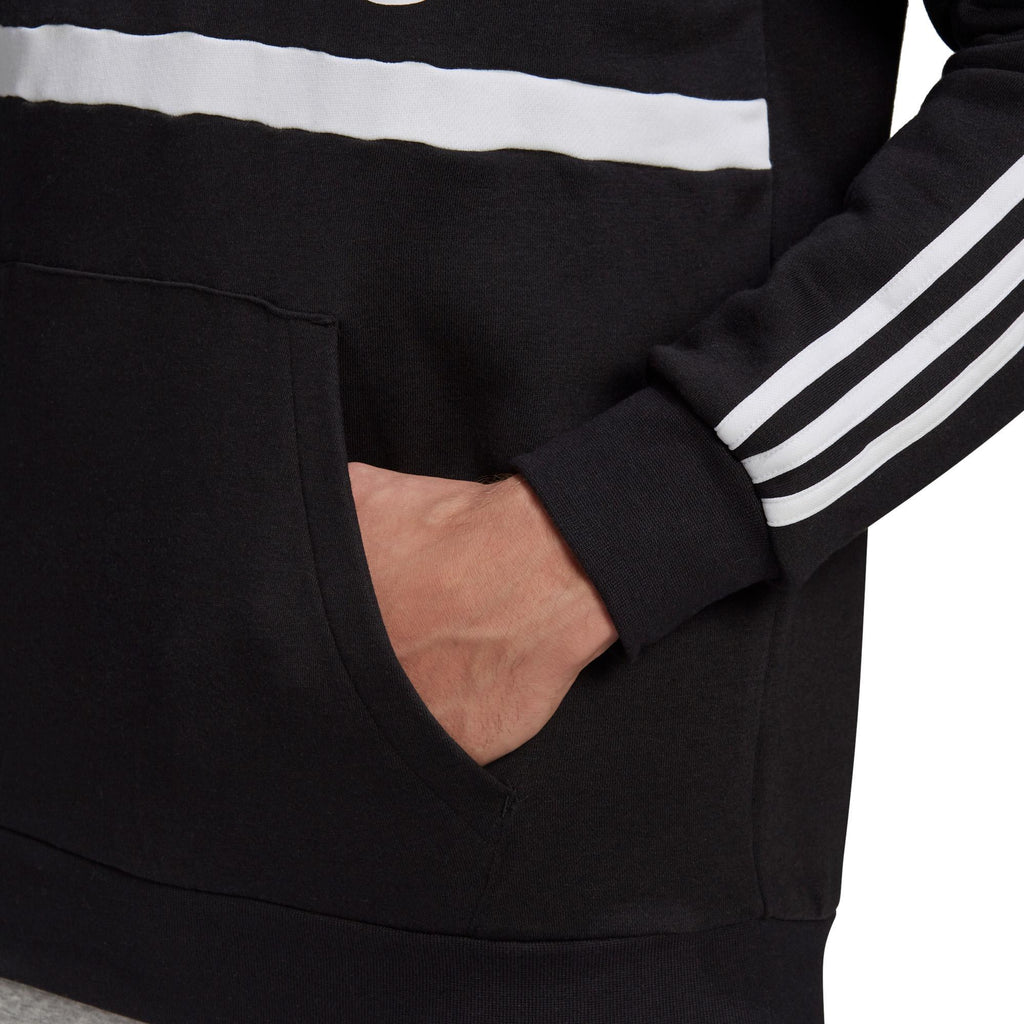 Essentials Logo Colorblock Hoodie