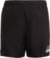 Lineage Zwemshort