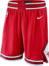 Chicago Bulls Icon Edition Swingman