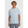 Polygiene Cotton Graphi Shirt strand