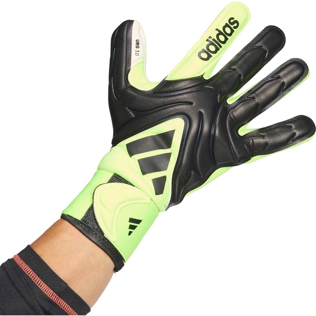 copa gl lge