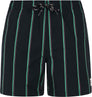Prtgonz Beachshort