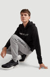Pm Rutile Oth Fleece Hoodie