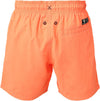 Hestey Boys Swim Shorts