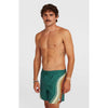 Originals Longboard 15 Zwemshort