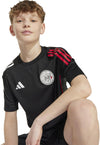 Ajax Amsterdam Tiro 25 Competition Training Kids jersey