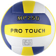 Prof volleybal