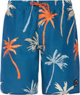 Prtbrandon Jr Beachshort