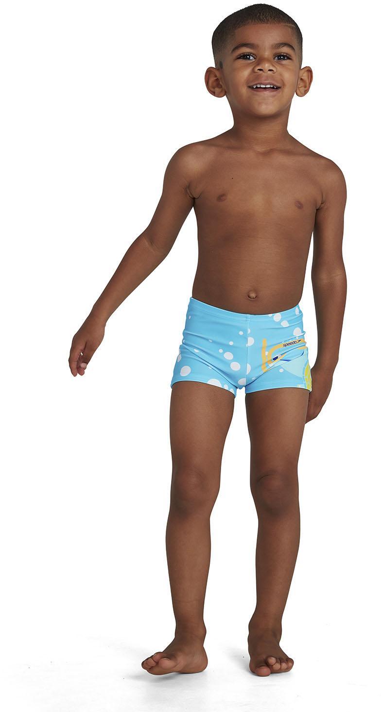 Tommy Turtle Placem Aqsh Blu/yel