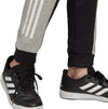 Yb Sid Pant
