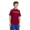 Hongarije 26 Thuisshirt Kids