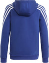 Future Icons 3-Stripes ritshoodie