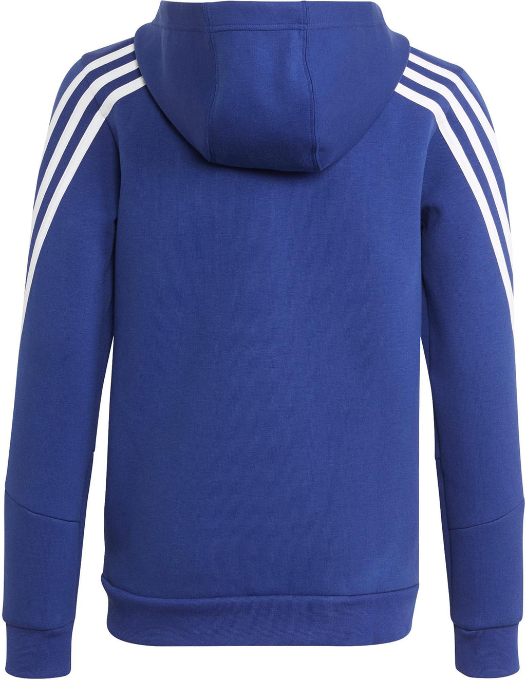 Future Icons 3-Stripes ritshoodie