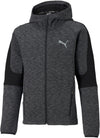 Evostripe Full-zip Hoodie