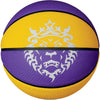 Playground 2.0 8p L James Deflated basketbal