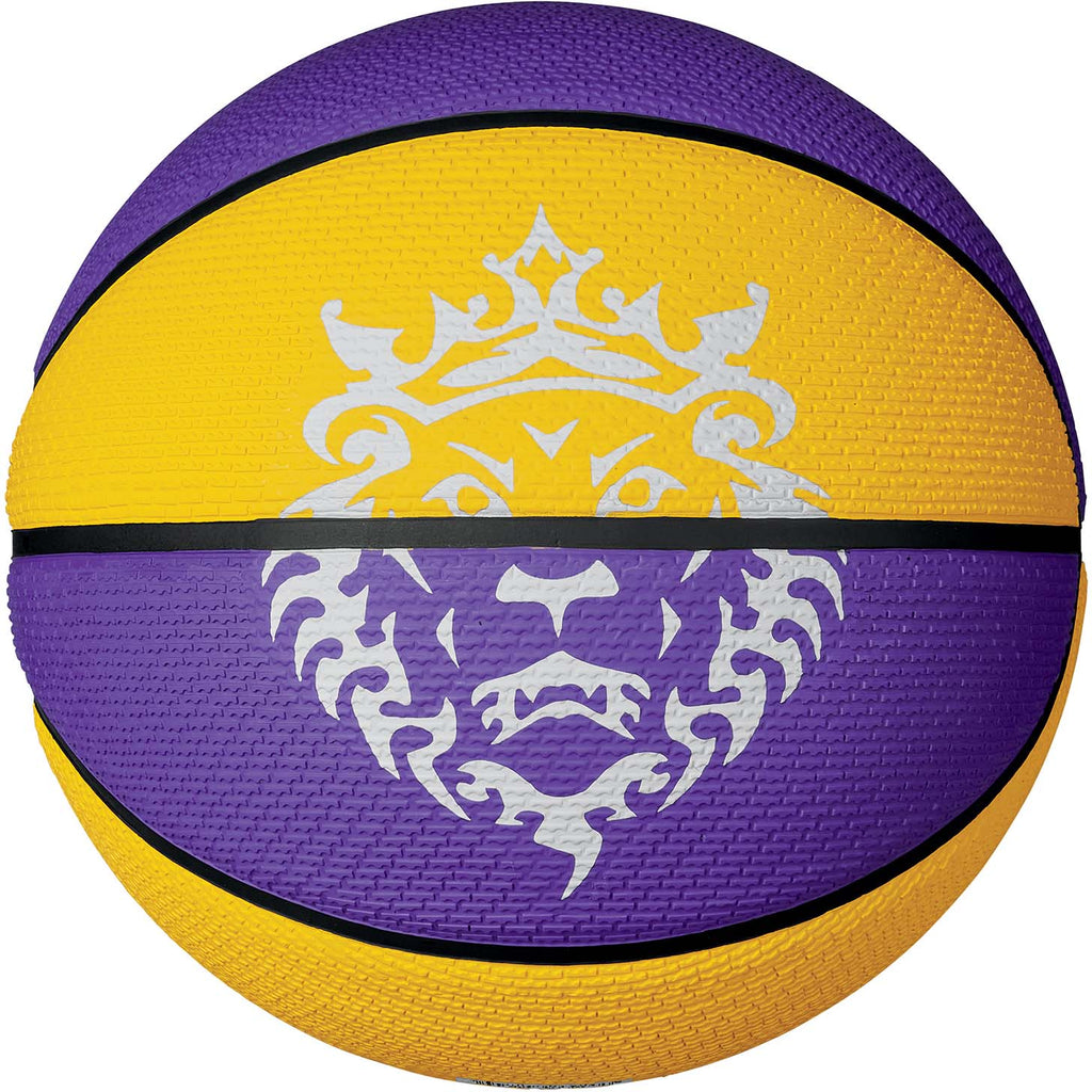 Playground 2.0 8p L James Deflated basketbal