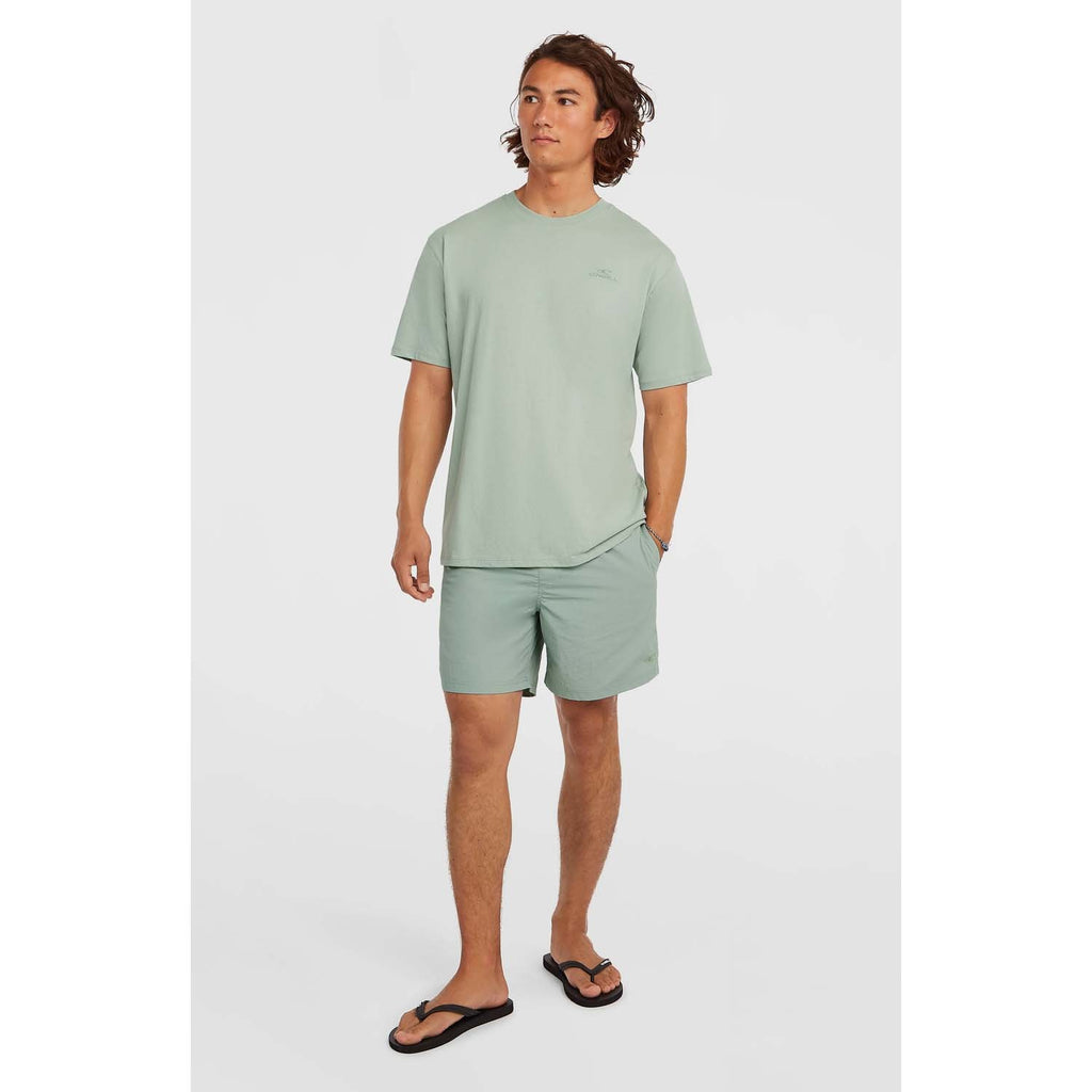 Small Logo T-shirt strand