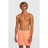 Vert 16 Zwemshort