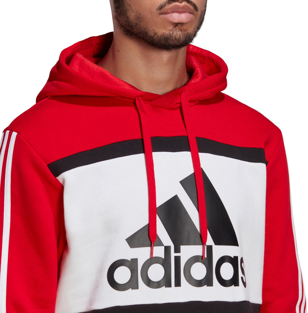 Essentials Logo Colorblock Hoodie