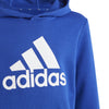 Big Logo Essentials Katoenen hoodie