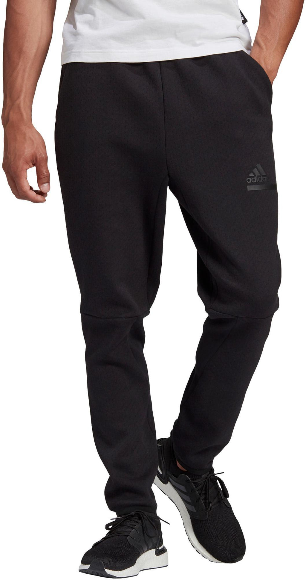Zne Pant