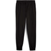 ess elevated pants fl cl