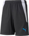 TEAMLIGA TRAINING SHORTS 2 JR, PUMA BLACK-OCEA, 152
