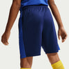Kids Dri-fit Academy+ Shorts