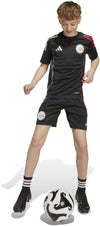 Ajax Amsterdam Tiro 25 Competition Training Kids jersey