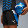 individualblaze shorts