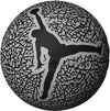 jordan skills 2.0 graphic