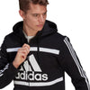 Essentials Colorblock Logo Hoodie